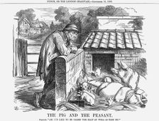 The Pig and The Peasant 1863. Creator: John Tenniel