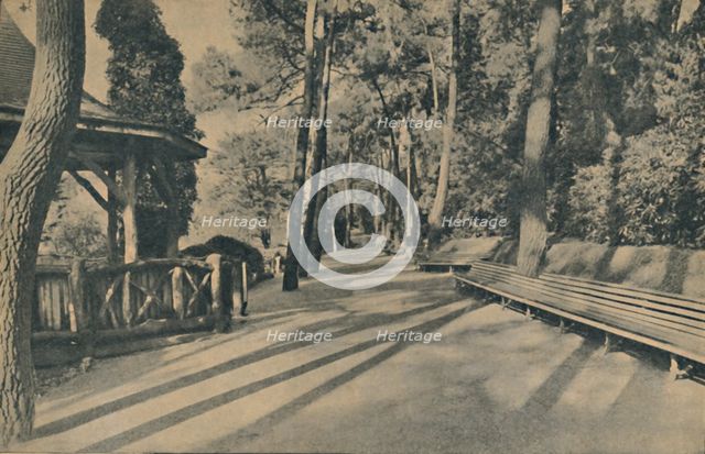 'The Pine Walk', 1929. Artist: Unknown.