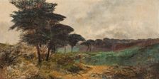 The pine trees of the Casa de Campo, 1886. Creator: Juan Espina y Capo