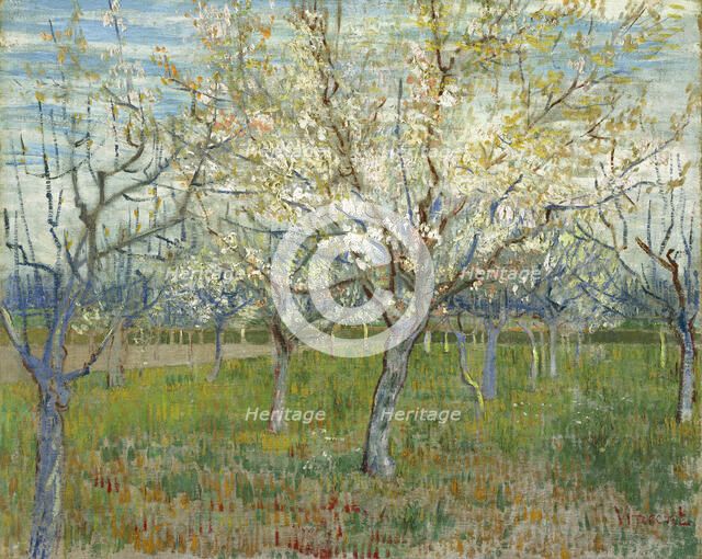 The pink orchard, 1888. Artist: Gogh, Vincent, van (1853-1890)