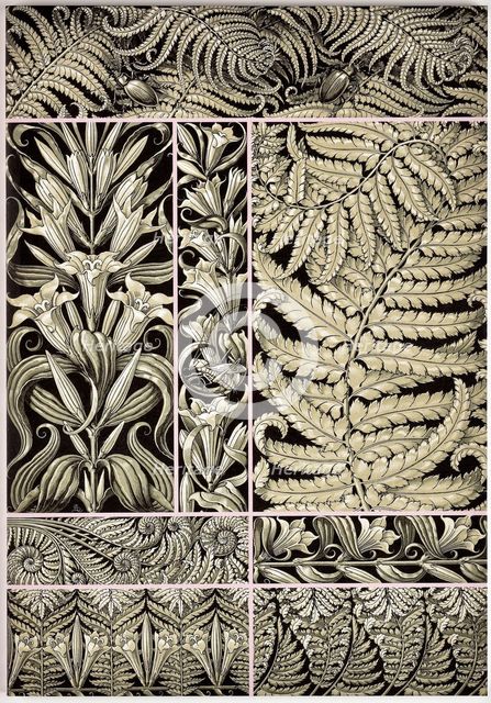 The plant ornaments, c. 1890.