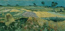 The Plain of Auvers, 1890. Artist: Gogh, Vincent, van (1853-1890)