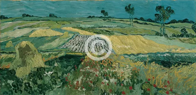The Plain of Auvers, 1890. Artist: Gogh, Vincent, van (1853-1890)