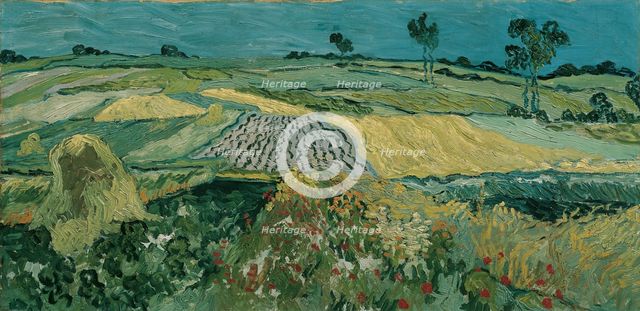 The Plain of Auvers, 1890. Artist: Gogh, Vincent, van (1853-1890)