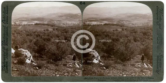 The plain of Dothan, Palestine, 1900.Artist: Underwood & Underwood