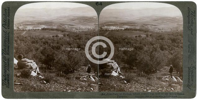 The plain of Dothan, Palestine, 1900.Artist: Underwood & Underwood