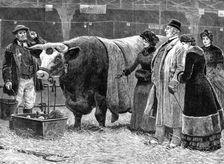 The Pleasure of Success, 1883. Creator: Unknown