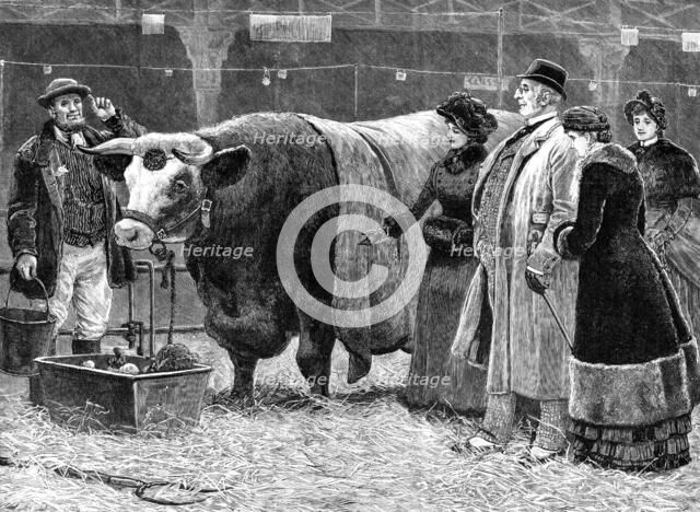 The Pleasure of Success, 1883. Creator: Unknown.