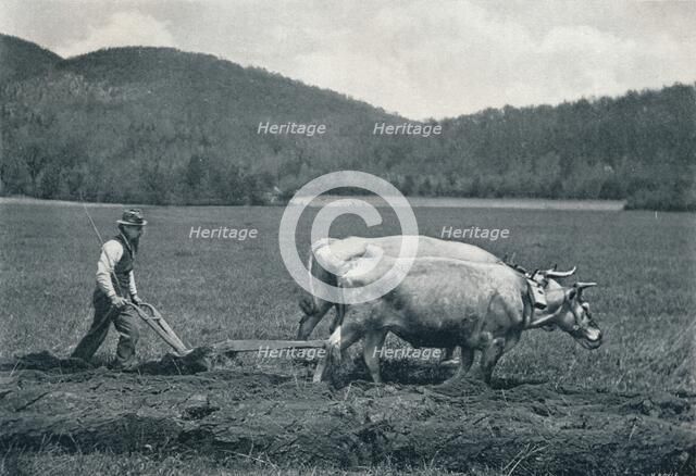 'The Ploughman', c1903. Artist: Vernon Royle.