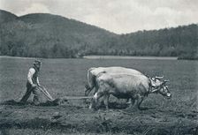The Ploughman c1903. Artist: Vernon Royle