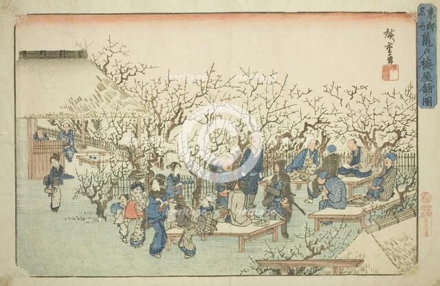 The Plum Garden at Komeido (Kameido ume yashiki no zu), from the series "Famous..., c. 1832/38. Creator: Ando Hiroshige.