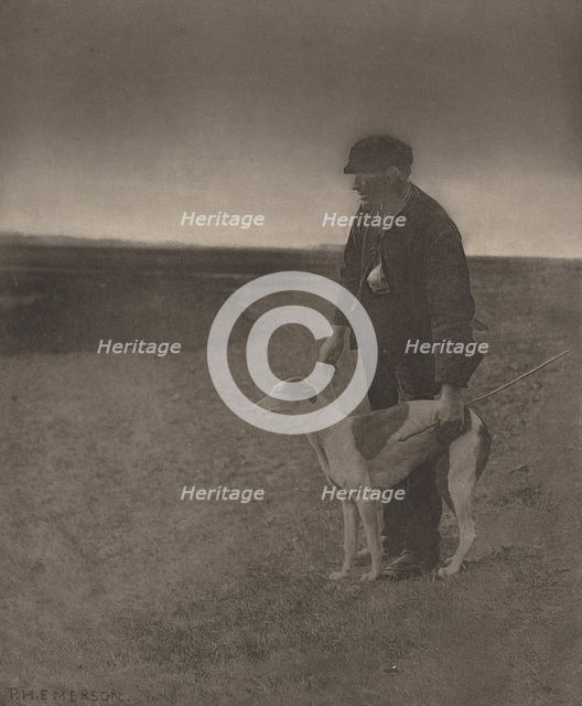 The Poacher-A Hare in View, 1888. Creator: Dr Peter Henry Emerson.