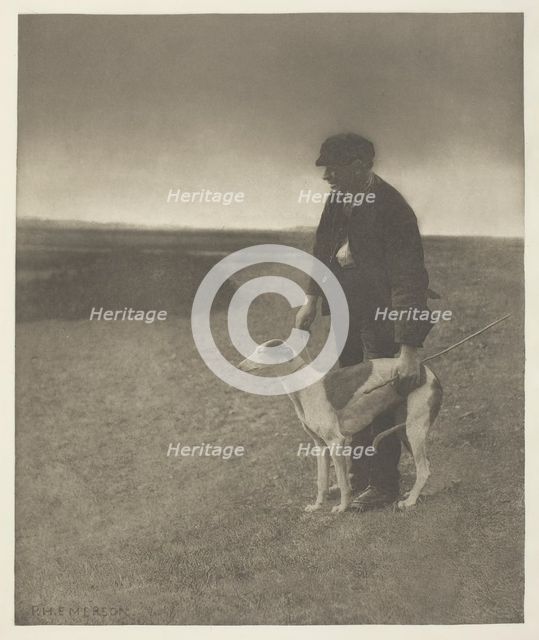 The Poacher - A Hare in View, (Suffolk), c. 1883/87, printed 1888. Creator: Peter Henry Emerson.