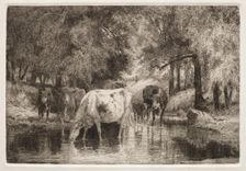 The Pool. Creator: Peter Moran (American, 1841-1914)