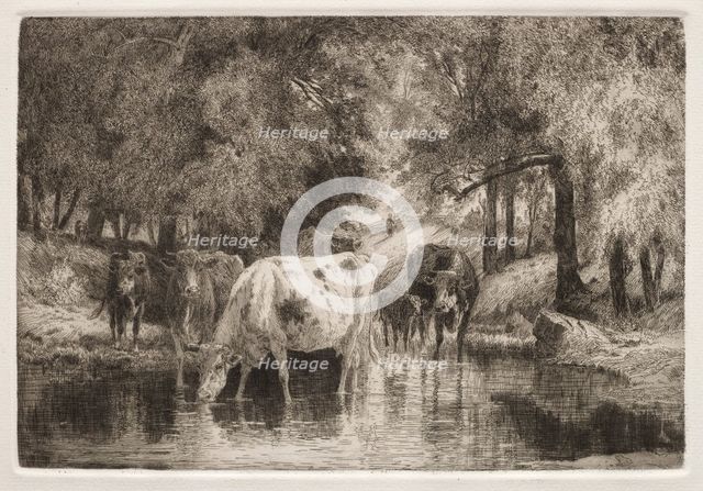 The Pool. Creator: Peter Moran (American, 1841-1914).