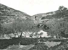 The Pool of Siloam, Jerusalem, Palestine, 1895. Creator: W & S Ltd
