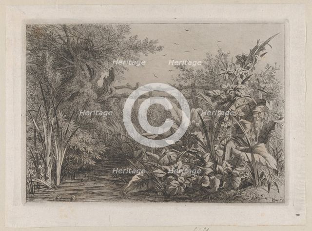 The Pond, 1857. Creator: Eugene Blery.