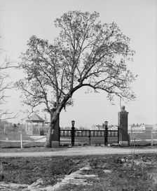 The Post gate, Fort Oglethorpe, Chicamauga [i.e. Chickamauga-Chattanooga National...., c1900-1910. Creator: Unknown