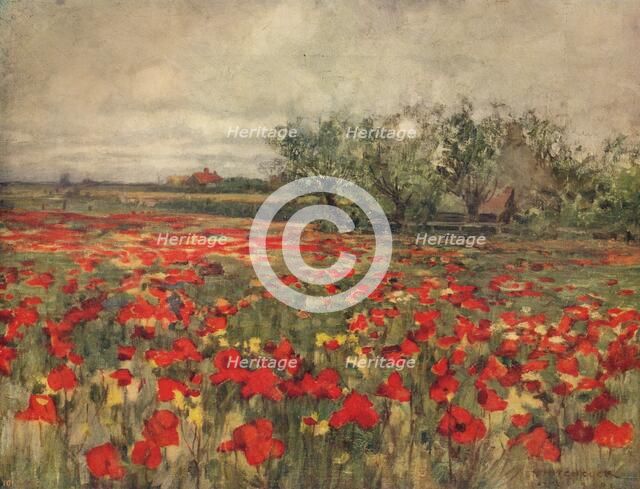 'The Poppy Field', c1900, (c1915). Artist: George Hitchcock.