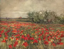 The Poppy Field c1900, (c1915). Artist: George Hitchcock