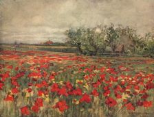The Poppy Field c1900, (c1915). Artist: George Hitchcock