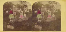 The poppies, 1860s. Creator: E. Rowell