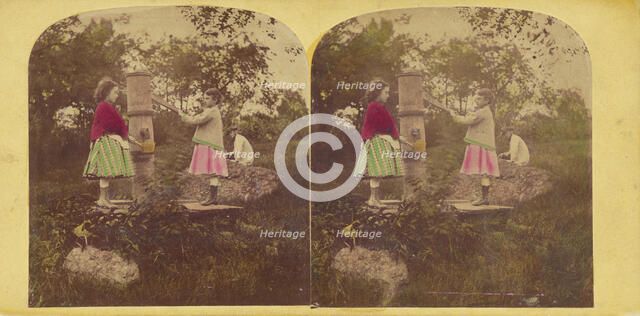 The poppies, 1860s. Creator: E. Rowell.