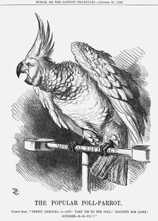 The Popular Poll-Parrot 1866. Creator: John Tenniel