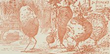 The Potato Tercentenary Exhibition and Conference at St Stephen's Hall, Westminster, London, 1886. Creator: Unknown