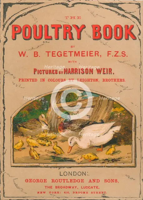 "The Poultry Book", 1867. Creator: Harrison Weir.