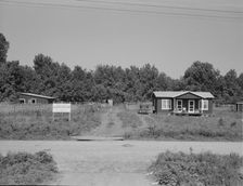 The poultry unit of the Delta cooperative farm, Hillhouse, Mississippi, 1937. Creator: Dorothea Lange