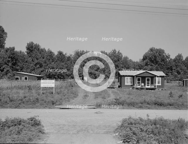 The poultry unit of the Delta cooperative farm, Hillhouse, Mississippi, 1937. Creator: Dorothea Lange.