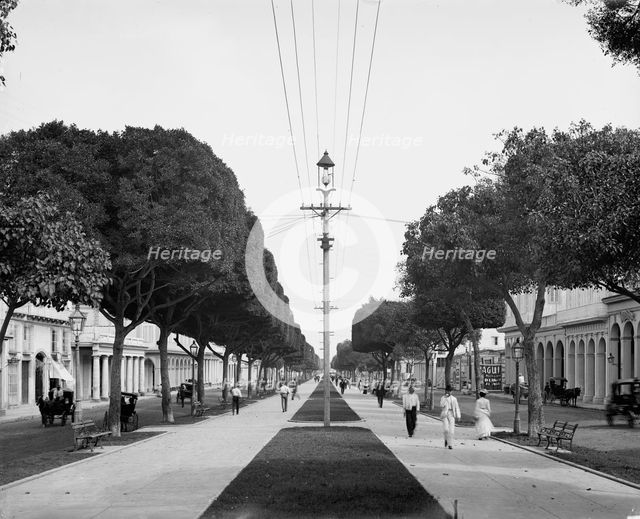 The Prado, looking north, Havana, Cuba, c1904. Creator: Unknown.