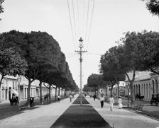 The Prado, looking north, Havana, Cuba, c1904. Creator: Unknown