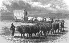 The "Prairie Schooner". -- Emigrant wagon on the plains; Ocean to Ocean, the Pacific..., 1875. Creator: Frederick Whymper