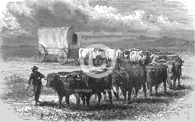 'The "Prairie Schooner". -- Emigrant wagon on the plains; Ocean to Ocean, the Pacific..., 1875. Creator: Frederick Whymper.