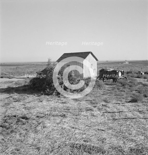 The preacher's house, Dead Ox Flat, Malheur County, Oregon, 1939. Creator: Dorothea Lange.