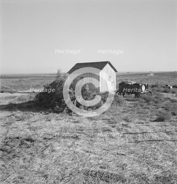The preacher's house, Dead Ox Flat, Malheur County, Oregon, 1939. Creator: Dorothea Lange.