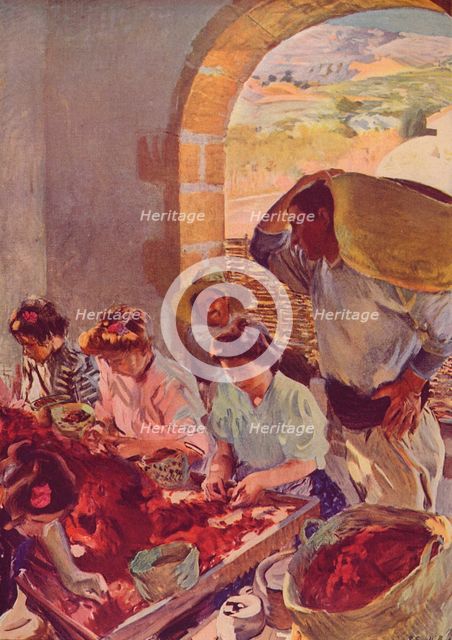 'The Preparation of Dry Grapes', 1890, (c1932). Artist: Joaquin Sorolla y Bastida.