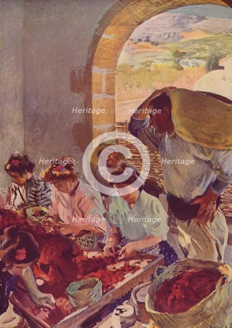 'The Preparation of Dry Grapes', 1890, (c1932). Artist: Joaquin Sorolla y Bastida.