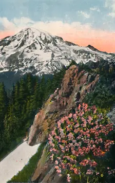 The Primrose on Mount Rainier c1916. Artist: Asahel Curtis