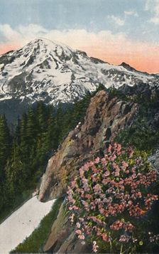 The Primrose on Mount Rainier c1916. Artist: Asahel Curtis
