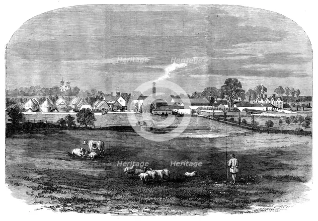 The Prince Consort's Model Farm at Osborne, 1858. Creator: Unknown.