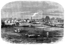 The Prince Consort's Model Farm at Osborne, 1858. Creator: Unknown
