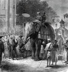 The Prince giving sugar-cane to the elephants at the rehearsal of the Perahara, Kandy..., 1876. Creator: Unknown