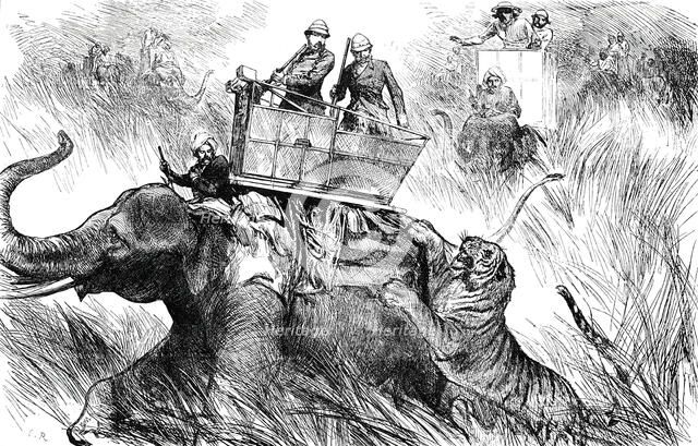 The Prince of Wales's Elephant charged by a Tiger, 1876. Creator: C.R..