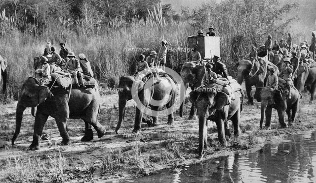The Prince of Wales tiger shooting in India, 1921. Artist: Unknown