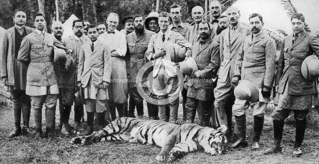 The Prince of Wales tiger shooting in Nepal, the Indian Tour, 1921. Artist: Unknown