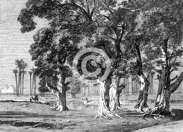 The Prince of Wales' Visit to Egypt: Djizeh - from a drawing by Frank Dillon, 1862. Creator: Unknown.