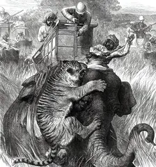 The Prince of Wales in the Nepaul Terai: Colonel Sir Arthur Ellis...with a Tiger...1876. Creator: Unknown
